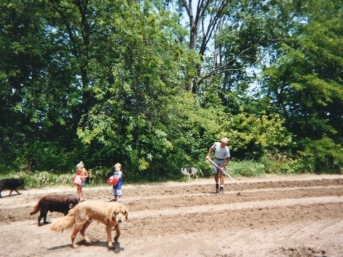 Orchard rows
